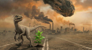 A sustentabilidade pode evitar uma nova extinção em massa