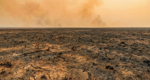 Queimadas ilegais para transformar a vegetação em áreas de pastagem.